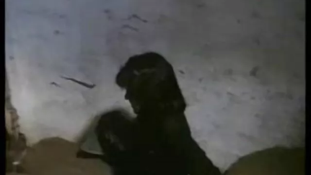 Ízletes kinézetű szőke baba borotvált hüvelyét megette szőrös punci képek egy foxy barna